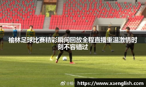 优游国际官网版