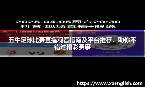 优游国际官网版