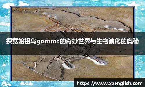 优游国际最新地址